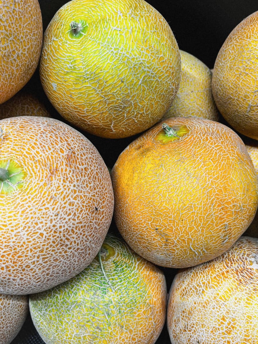 Cantaloupe