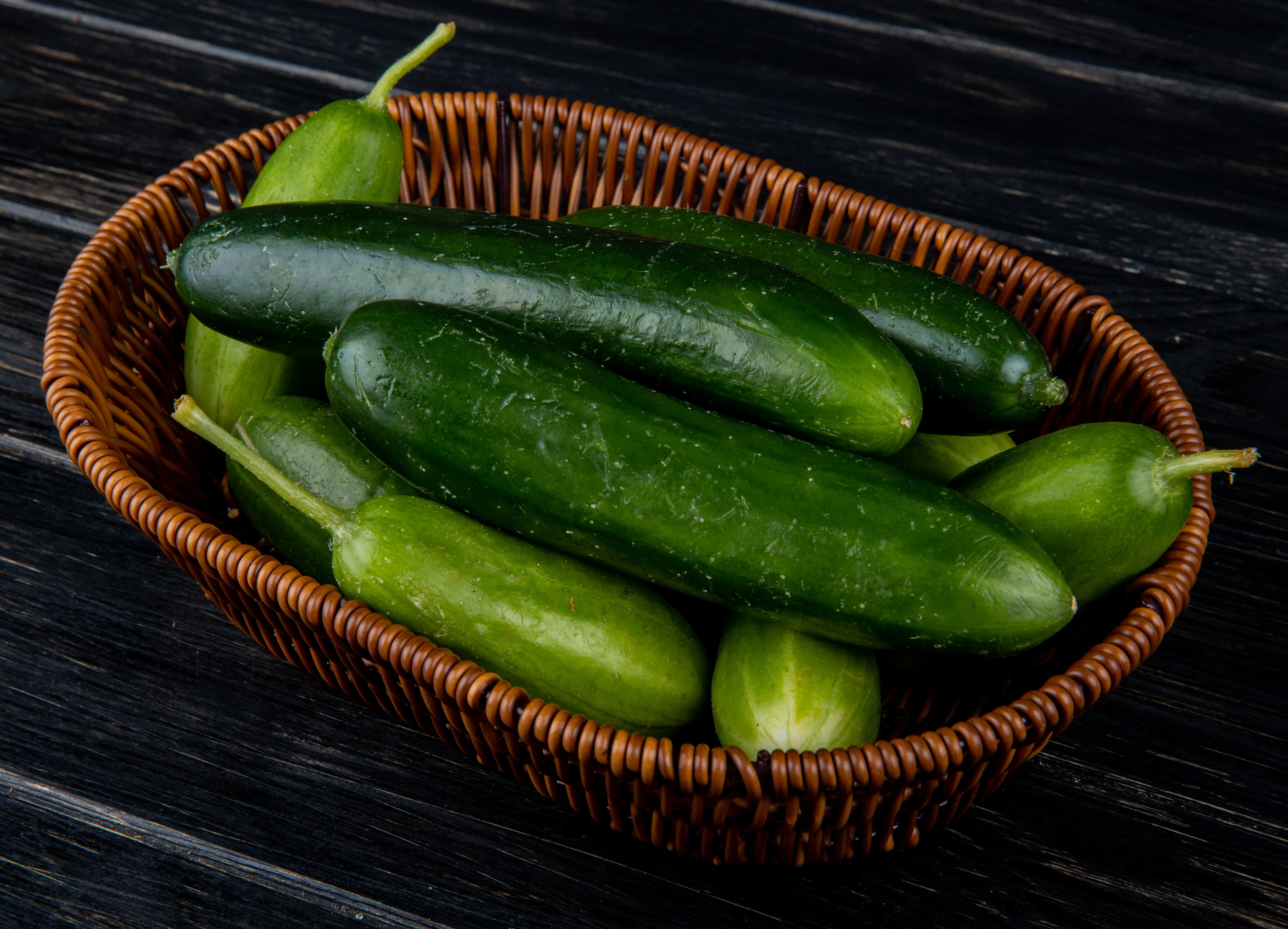 Salad Cucumber