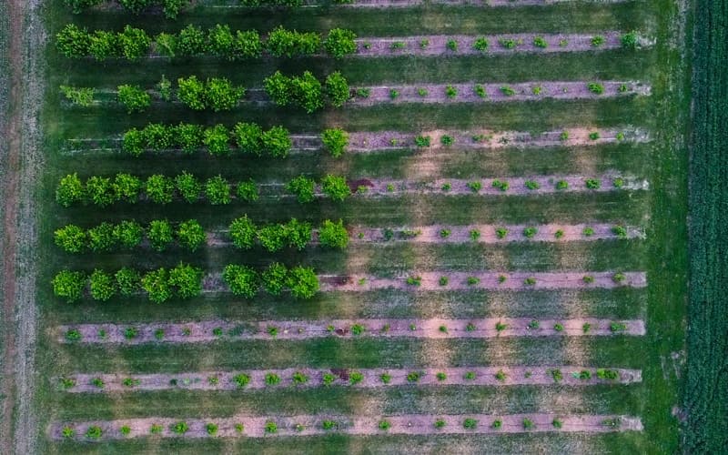 Thambuttegama project site aerial view
